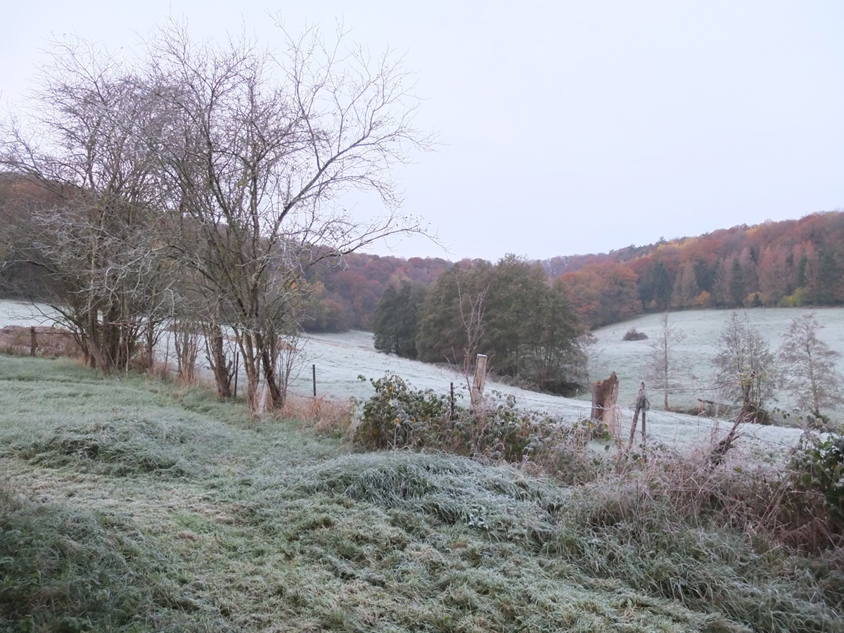 photo de la vallée en hiver